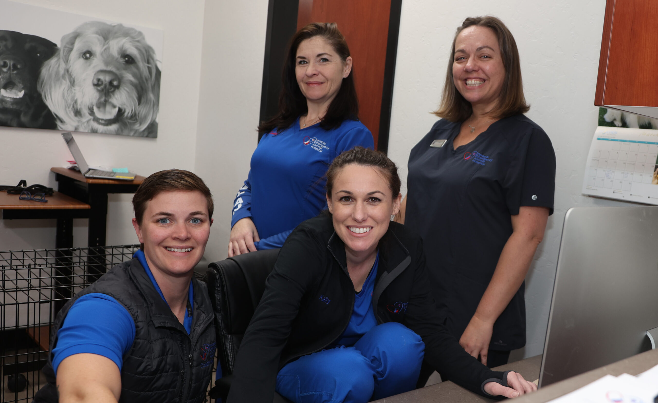 Veteinary Careers Yavapai Emergency Animal Hospital